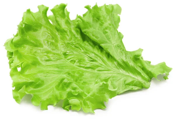 Saladeblad Eén Groene Sla Geïsoleerd Witte Achtergrond Knippad — Stockfoto