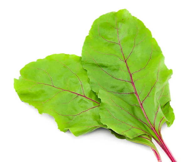 Beetroot Leaves Isolated White Background Clipping Path — Stock Photo, Image