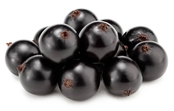 Black Currant Terisolasi Pada Latar Belakang Putih Makro Tapak Kliping — Stok Foto