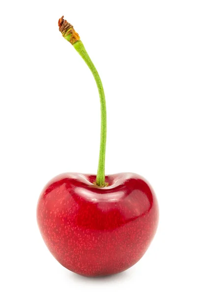 Fruta Cereza Roja Aislada Sobre Fondo Blanco Vista Superior Camino — Foto de Stock