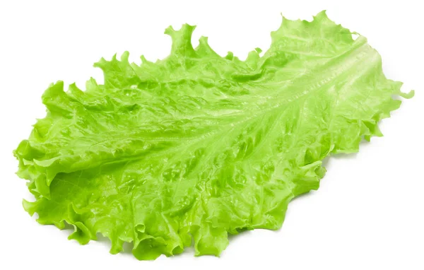 Hoja Ensalada Una Lechuga Verde Aislada Sobre Fondo Blanco Camino — Foto de Stock