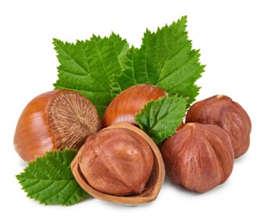 Yeşil yapraklı fındıklar beyaz arka plan makrosu üzerinde izole edilmiş. kırpma yolu