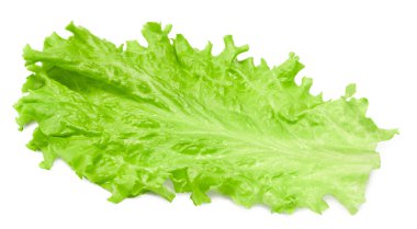 Beyaz arka planda izole edilmiş bir salata yaprağı. Tam alan derinliği. kırpma yolu