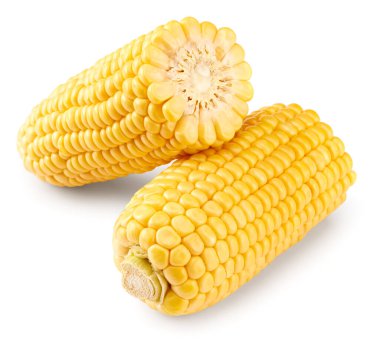 Beyaz arka planda izole edilmiş koçandaki taze mısır. kırpma yolu
