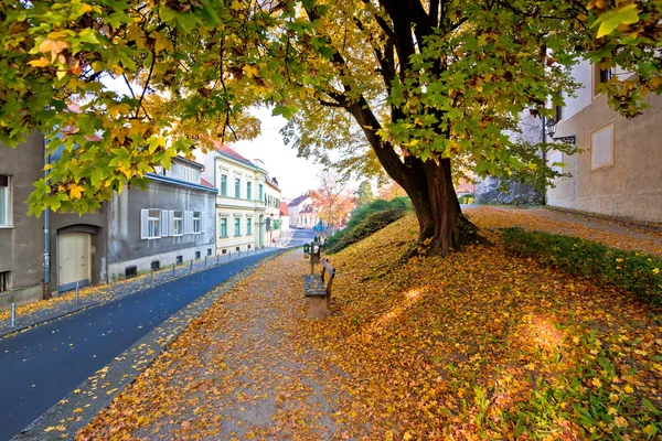 Zagreb historic upper town autumn view — Stock Photo, Image