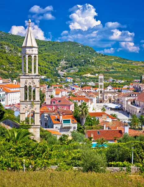 Hvar architektura a příroda vertikální pohled — Stock fotografie