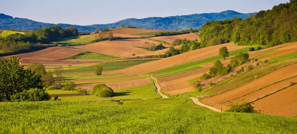 Panoramiczny widok sielankowych krajobrazów rolniczych — Zdjęcie stockowe