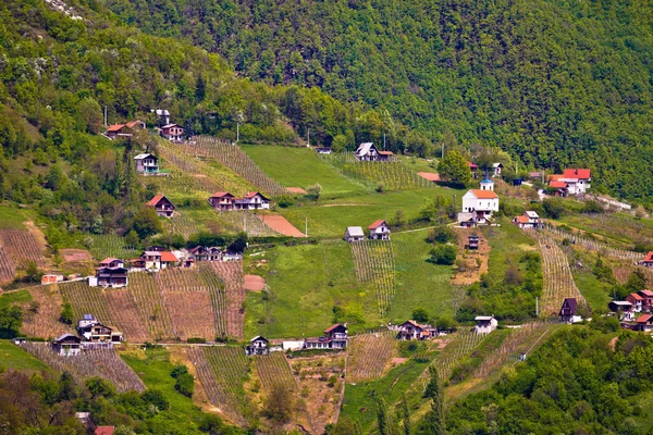 Heuvels van Plesivica wijngaarden en huisjes — Stockfoto