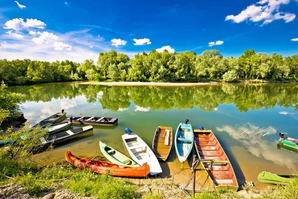 Colorful boats on mouth of Drava and Mura rivers — Stock Photo, Image