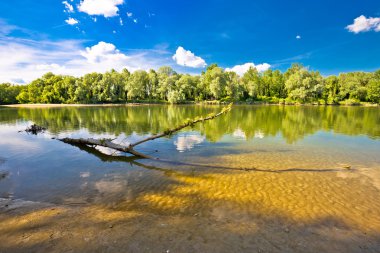 Manzara Mura ağzına Drava Nehri'nin