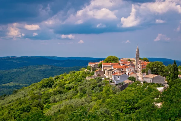 Villaggio di Draguc immerso nel verde — Foto Stock