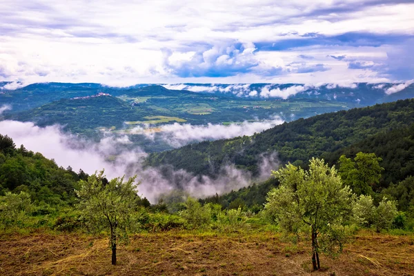 Miasteczko Motovun krajobraz we mgle — Zdjęcie stockowe