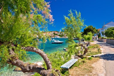 Ugljan Island beach view Kali Köyü