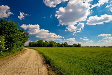 Podravina Bölge alanı ve yol
