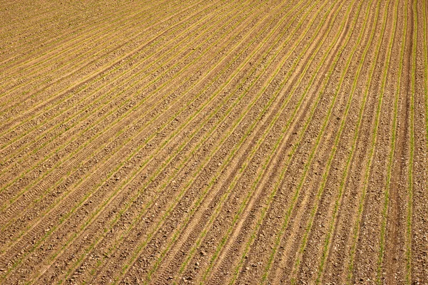 Вид сельскохозяйственного слоя на вспаханное поле — стоковое фото