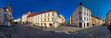 Ljubljana merkezi kare panoramik görünüm