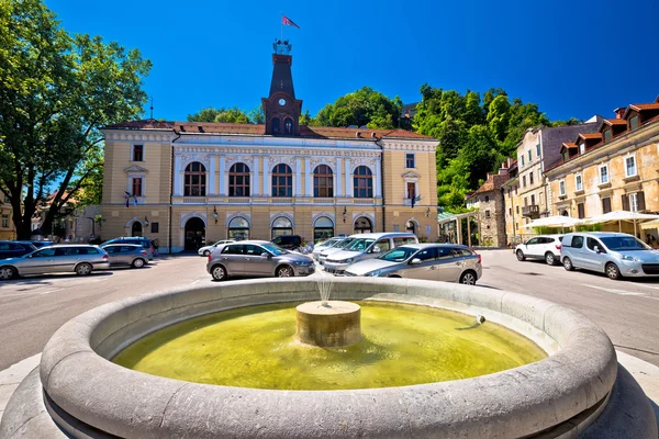 Ljubljana fontanna i architektura widoku — Zdjęcie stockowe