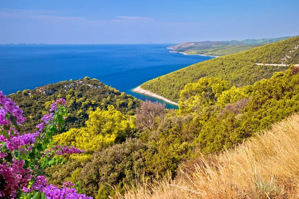 Côte Île Korcula Pupnatska Luka Cove Vue Colline Sud Archipel — Photo