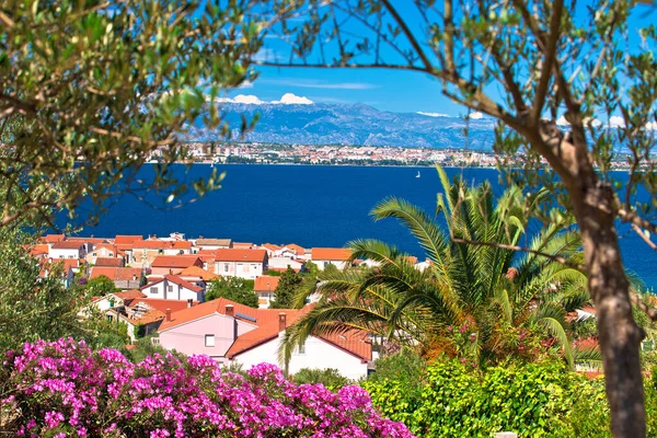 Arcipelago Zara Isola Ugljan Mare Adriatico Vista Sulla Natura Colorata — Foto Stock