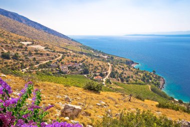 Brac adasının sahili, Croati Dalmaçya takımadası
