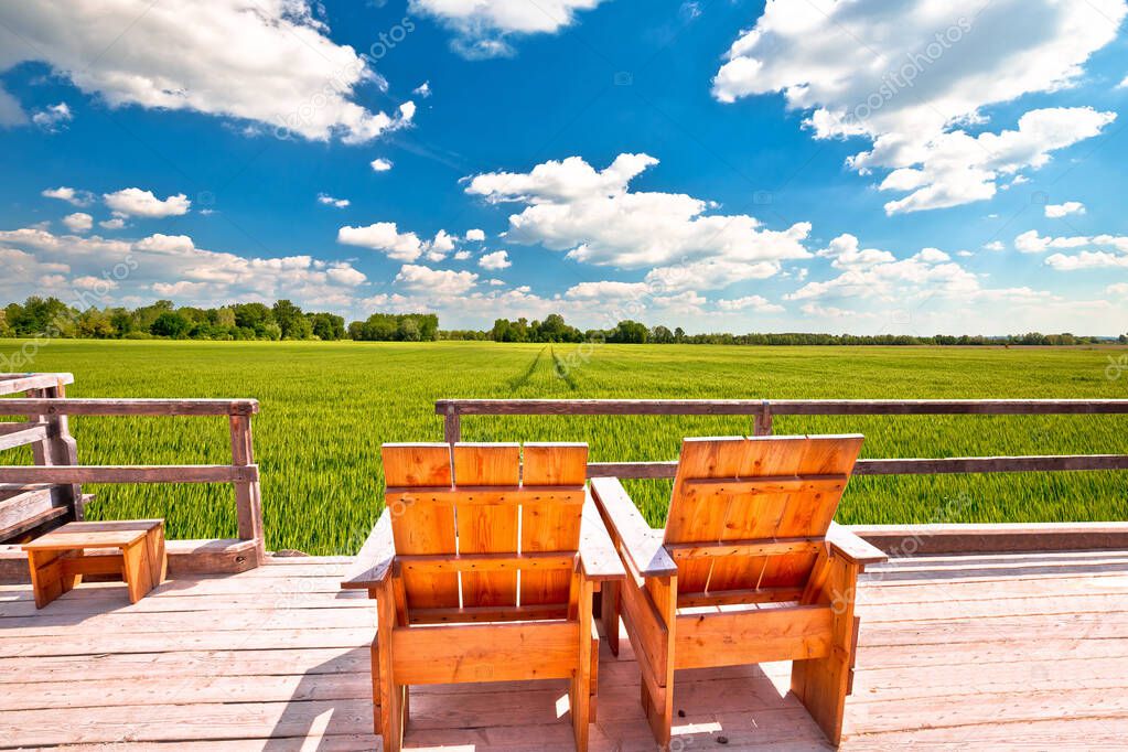 Relax deck chairs in agricultural landscape. Green wheat field under blue sky view, Podravina region of northern Croatia