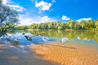 Mura ağzındaki Drava Nehri plajı, Podravina bölgesi, Hırvatistan ve Hungar sınırı