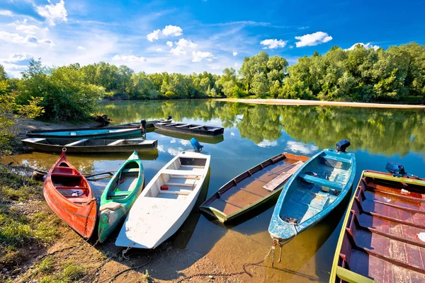 Coloridos Barcos Desembocadura Los Ríos Drava Mura Región Podravina Croati —  Fotos de Stock