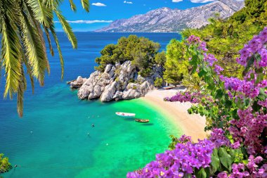 Brela hava manzaralı Idyllic plajı Punta Rata, Hırvatistan 'ın Dalmaçya kentinde Makarska Riviera