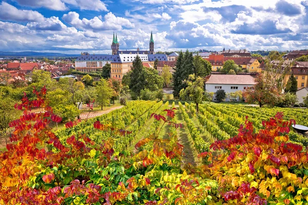 Bamberg Bamberg Manzaralı Michaelsberg Üzüm Bağlarından Bamberger Dom Meydanına Yukarı — Stok fotoğraf