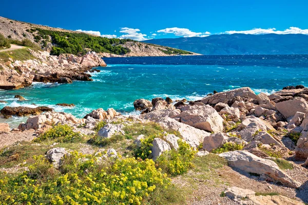 Island of Krk turquoise beach view, famous FKK beach Bunculuka, Craotia