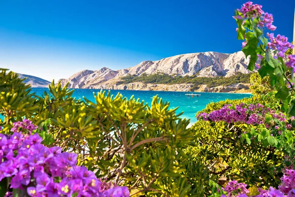 Met Baska Idyllisch Landschap Stad Baska Eiland Krk Kroatische Baai — Stockfoto