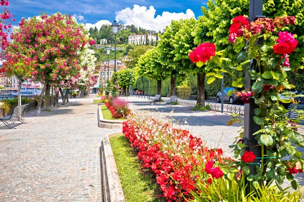 Lungolago Europa Famous Flower Lakefront Walkway Belaggio Town Como Lake — Stock Photo, Image