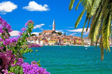 Rovinj. Hırvatistan 'ın Istria bölgesinin güzel tarihi Rovinj liman manzarası