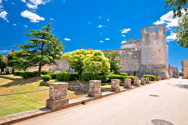 Hırvatistan Istria Bölgesindeki Svetvincenat Köyü Antik Taş Duvarlar Kule Manzaralı — Stok fotoğraf