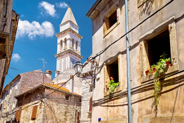 Вид Каменную Улицу Церковь Города Войян Регион Истрия Хорватии — стоковое фото