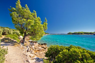 Hırvatistan'daki turkuaz idyllic beach