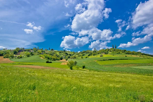 Idyllic africultural green landscape of Croatia — Stock fotografie