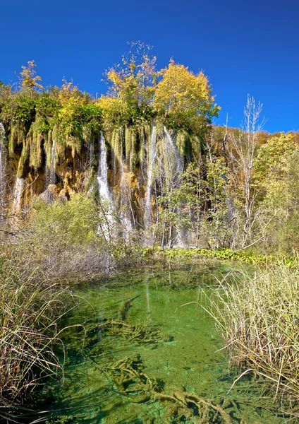 Gröna sjön under Plitvice vattenfall — Stockfoto