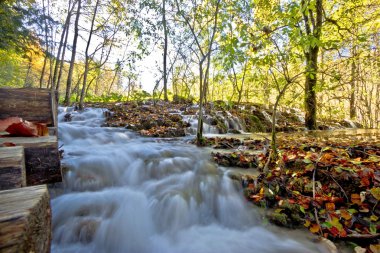 Plitvice Gölleri Milli Parkı içinde akan dere