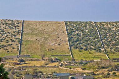 Pag Island taş duvarlar çöl