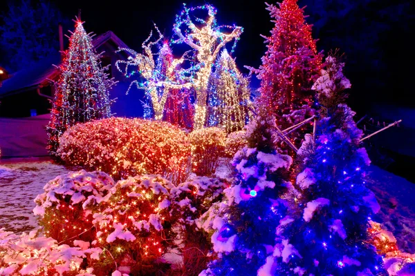 Luces de Navidad en el parque — Foto de Stock