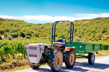 Akdeniz bağ tarafından küçük tractoe