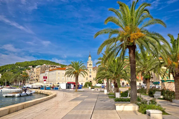 Cidade de Split orla palmeira — Fotografia de Stock