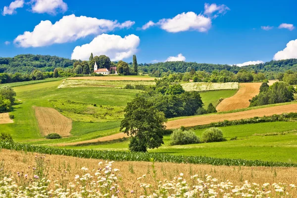 田园诗般的绿色山丘上的教堂 — 图库照片