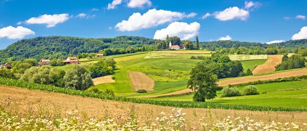 Idilli mezőgazdasági táj panoráma — Stock Fotó