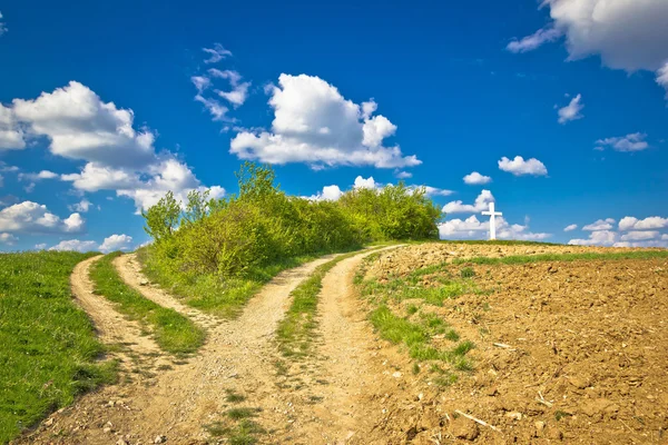 Platteland pad snijpunt weergave in de groene natuur — Stockfoto