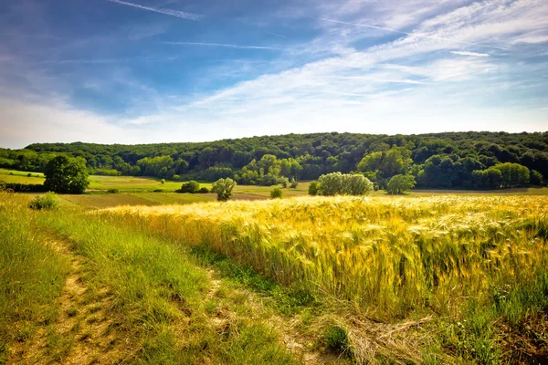 Paisagem agrícola idílica vista de verão — Fotografia de Stock