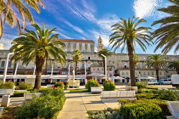 Split Riva palm waterfront view — Stock Photo, Image