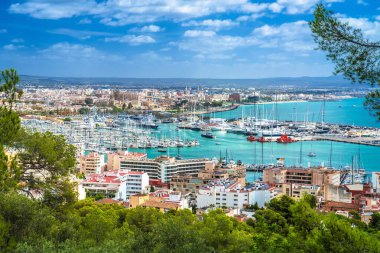 Palma de Mallorca yat limanı ve limanın panoramik manzarası. Mallorca Adası, İspanya 'nın Balear adaları
