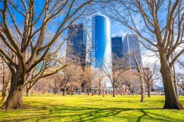 Battery Park ve New York City şehir merkezi gökdelen manzarası, Amerika Birleşik Devletleri